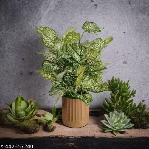 Nexora  Artificial plant with Brown pot